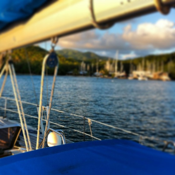 Vår nya utsikt från sittbrunnen