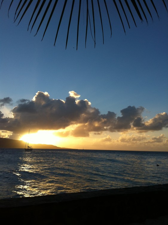 Gåva i solnedgången - är hon inte vacker!