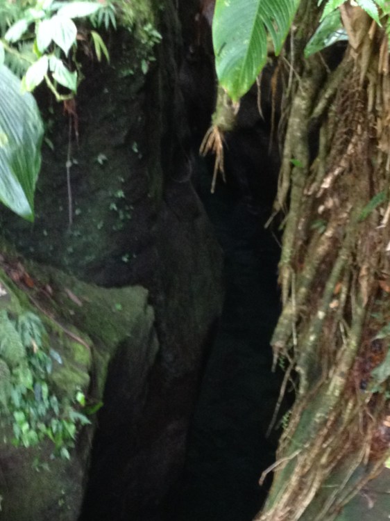 Ingen bra bild, denna är liksom tagen uppifrån vid ingången till ravin