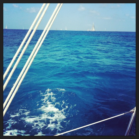 Många segel på fjärden...små på denna bild men det är hur många som helst!