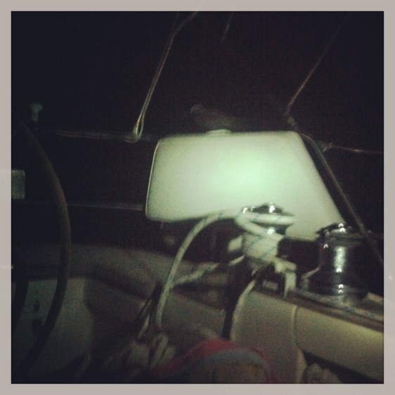 Mörk bild på duvan