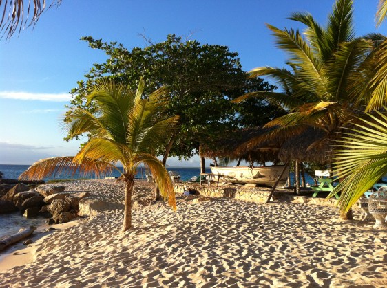 Stranden på Isla Saona