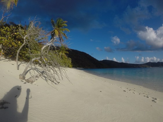 Guana Island
